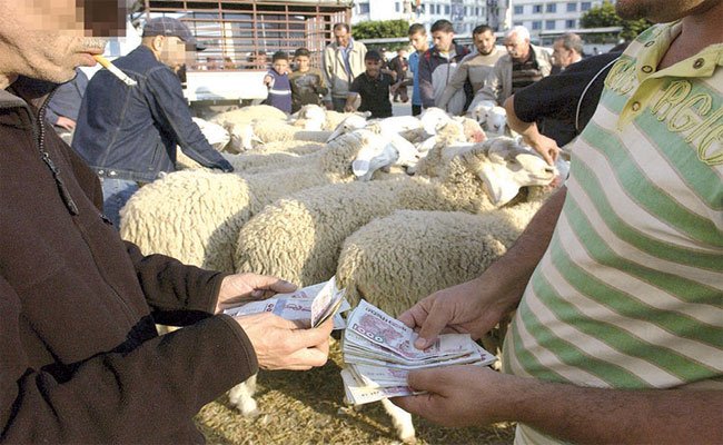 تركيز التشكيل الأمني للعاصمة على حماية الممولين و المواطنين من السرقات المحتملة و صرف العملة المزورة و المراقبة البيطرية