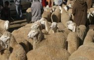 وزارة الداخلية تتخذ نظاما عملياتيا يتضمن كافة  التدابير والإجراءات اللازمة من أجل ضمان السكينة للمواطنين