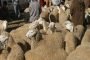 مواد طبية تسرق من مستشفى مستغانم!