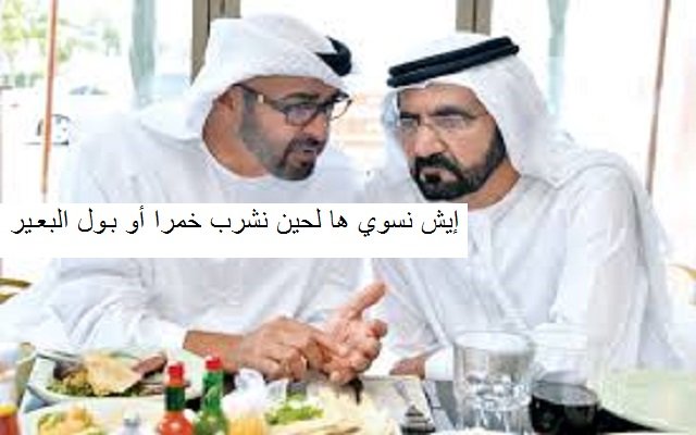 الإمارات تشرب من نفس السم الذي تريد نشره في الدول الإسلامية