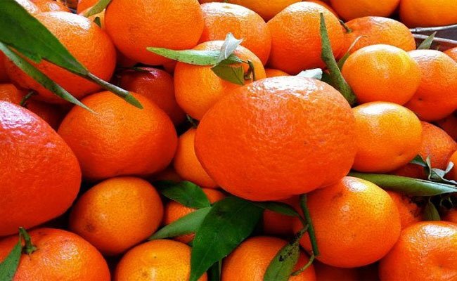 خلال فترة حملك تناولي فاكهة اليوسفي فهو مفيد لك ولطفلك