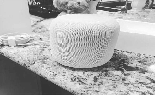 أجهزة HomePod من أبل تظهر دون أي سابق إنظار