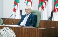 بوحجة : بوتفليقة