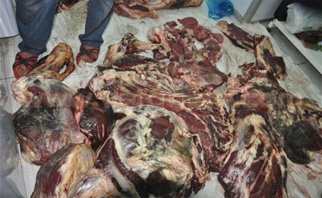 تعفن لحوم أضاحي العيد و المصالح البيطرية ترد : هي حالات معزولة و ناجمة عن شروط الحفظ السيئة