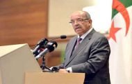 مساهل يؤكد أن زيارة رئيس وزراء فيدرالية روسيا ستدشن 