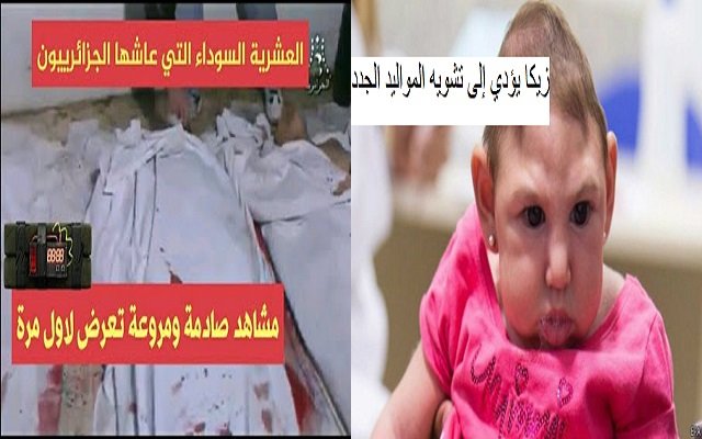 بعدما لم ينجحوا بالترهيب بالعشرية السوداء لجئوا إلى الترهيب بخطر الأوبئة والفيروسات