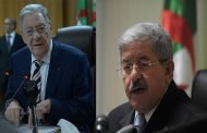 الانتخابات المحلية ثم نفخ والكعكة قسمت بما يرضي النظام