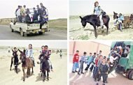 رفع راسك يا با في بلد البترول والغاز تلاميذ يذهبون إلى مدارسهم في شاحنات نقل البضائع والحيوانات