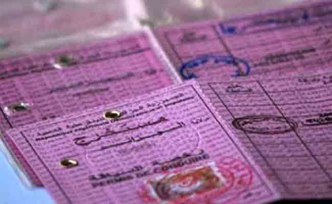 الداخلية تحذف شهادة القنصلية لطالبي شهادة الكفاءة الخاصة بتحويل رخصة السياقة إلى رخصة سياقة دولية