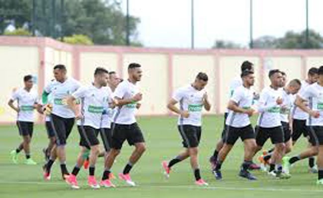 المحليون يواجهون منتخب رواندا