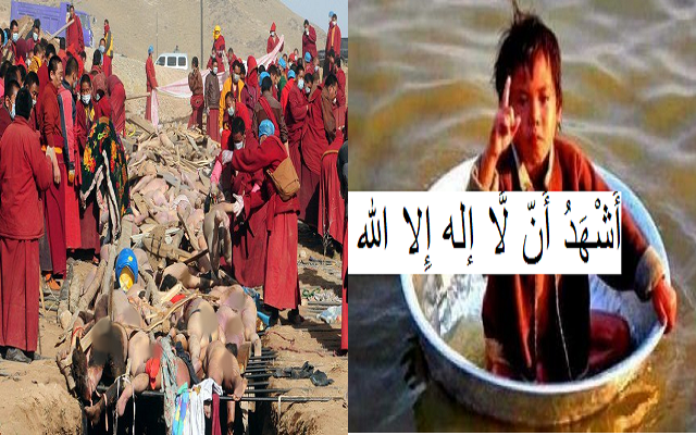 رئيس ميانمار يتعهد بعودة مسلمي الروهينجا