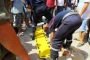 لوح يؤكد أن النيابة الجزائرية فتحت تحقيقا في ظروف الوفاة الغامضة لمواطن جزائري بإسبانيا واثنين آخرين بفرنسا