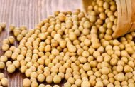 هل يعتبر زيت الصويا صحياً؟