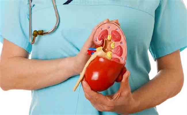 لا تهملوا هذه الأعراض التي تدّل على إصابتكم بسرطان الكلى!