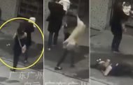 السماء تمطر كلابًا