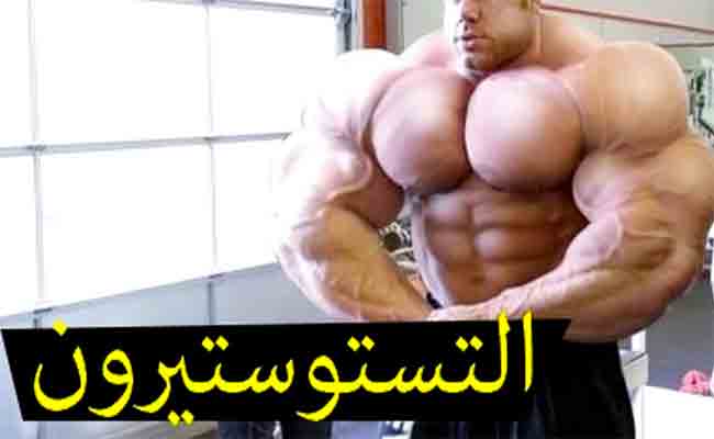 4 أسباب وراء زيادة هرمون التستوستيرون عند الرجل