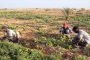 حالة استنفار بالأغواط بعد وفاة طفل و إصابة العشرات بالبوحمرون