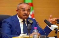 بدوي يؤكد أن الجزائر ستواصل ترحيل المهاجرين غير الشرعيين صوب بلدانهم