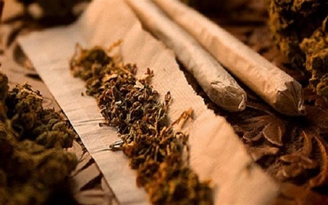 هذه هي أول دولة عربية تشرع الحشيش