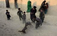 15 قتيلا في هجوم لـداعش على منزل أحد قادة طالبان