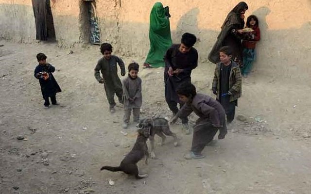 15 قتيلا في هجوم لـداعش على منزل أحد قادة طالبان