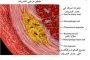 باحثون من جامعة واترلو طوروا تطبيق يرفع من مستوى استقلالية بطارية الهواتف الذكية