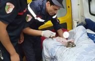 وفاة أربعة أشخاص في حادث مرور وتوليد سيدة في سيارة إسعاف