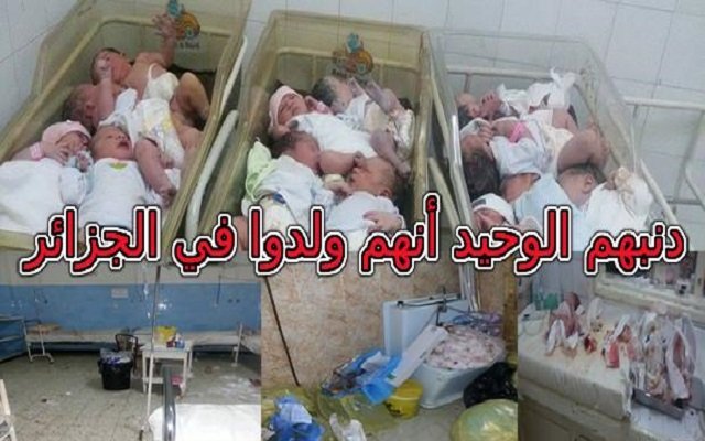 الكوليرا: نعلن للرأي العام انهيار المنظومة الصحية بالجزائر