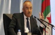 بدوي : وزارتي الداخلية والتكوين المهني ستعقدان قريبا اتفاقيات لتأهيل الموظفين المكلفين بتسيير الابتدائيات
