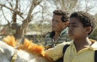 مهرجان الجونة السينمائي يطفئ شمعته الثانية..وفيلم 