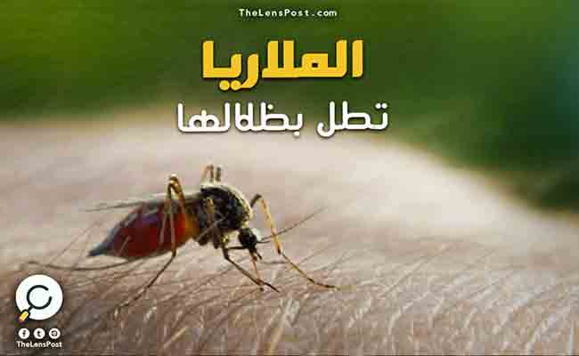 كيف تنتقل عدوى الملاريا؟ وما هي سبل الوقاية؟