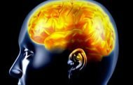 هل تتسبب الحرارة بتلف خلايا الدماغ؟