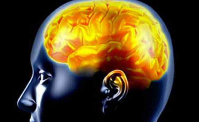 هل تتسبب الحرارة بتلف خلايا الدماغ؟