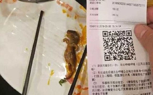بسبب فأر ميت في وجبة مطعم يخسر 190 مليون دولار من قيمته