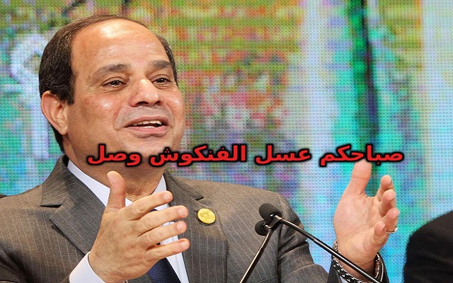 إعلان إسرائيل يبين أن اكتشافات مصر للغاز طلع فنكوش