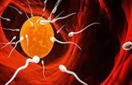 الخلايا الجذعيّة... أملٌ جديد لعلاج العقم