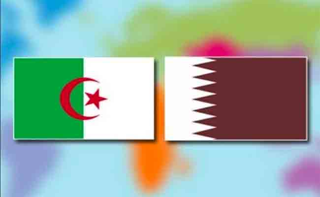 العلاقات الجزائرية / القطرية : دعوة لتفعيل شراكة حقيقية بين البلدين