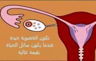 هل يُمكن الحمل مباشرة بعد الدورة الشهرية