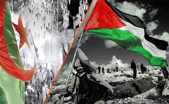 رئيس الجمهورية يؤكد الدعم