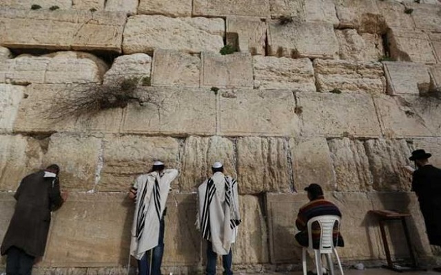 ثعبان يخرج من حائط البراق هل هي إشارة على قرب قدوم المسيخ الدجال