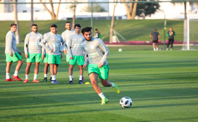 الخضر يستعدون لودية قطر