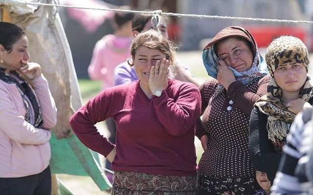 الدنمارك تحول جزيرة للحيوانات إلى سجن مفتوح لبعض اللاجئين