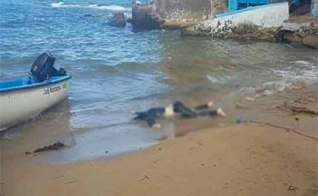 تسجيل انتشال 119 جثة للمهاجرين و 96 مفقودا عبر البحر خلال 2018