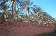 شعراء عرب يصدحون في ليالي بسكرة