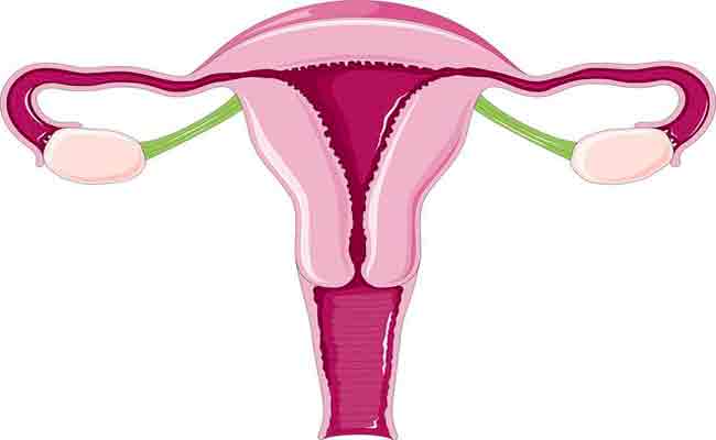 6 اعراض تؤكد على إصابتك بالاورام الليفية في الرحم!