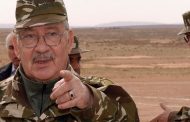 لا قيمة للعهدة الخامسة لأن الحاكم الفعلي للبلاد هو الفريق أحمد قايد صالح