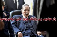 قولوا لبوتفليقة أن يعود لأرض الوطن وقولوا للقايد صالح أن ينام لأن الجزائري لا يعدو كونه ظاهرة صوتية لا خوف منها