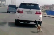 كائن سعودي يربط كلبًا بسيارته.. ويسحله بلا رحمة في شوارع