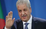 أصحاب الشيتة الذهبية سيبدأون العمل هذا الأحد
