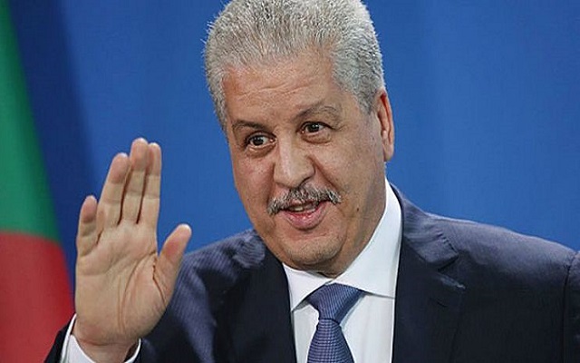 أصحاب الشيتة الذهبية سيبدأون العمل هذا الأحد